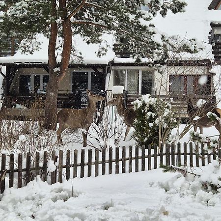 Apartament Wokol Stolu Zakopane Exteriör bild